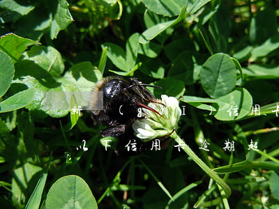 新規(guī)信用卡逾期5萬(wàn)以下(信用卡逾期超過(guò)5萬(wàn)銀行報(bào)警)