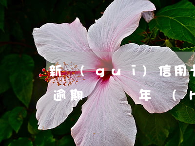 新規(guī)信用卡逾期多久覆蓋(信用卡逾期記錄兩年會(huì)被覆蓋嗎)