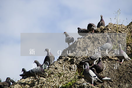 新規(guī)定上海離婚幾年可以買房(上海有規(guī)定離婚多久可以買房嗎)