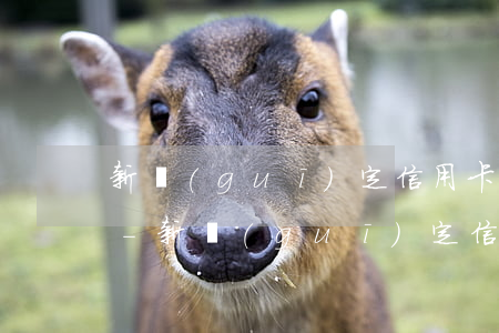 新規(guī)定信用卡逾期記錄怎么消除-新規(guī)定信用卡逾期記錄怎么消除的