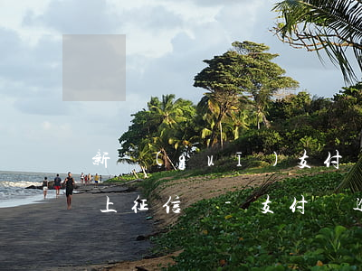 新規(guī)支付寶逾期還會(huì)上征信嗎-支付寶逾期會(huì)有征信影響嗎