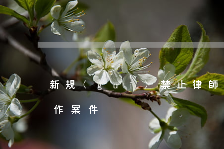 新規(guī)！禁止律師違規(guī)炒作案件