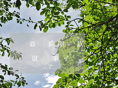 新貸逾期還款會怎樣(貸款逾期后還了會不會就沒事了)