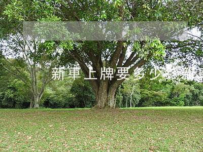 新車上牌要多少錢(新車上牌要多少錢摩托)