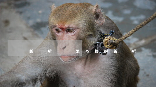 新車折損費怎么算的(新車折舊費用怎么算)