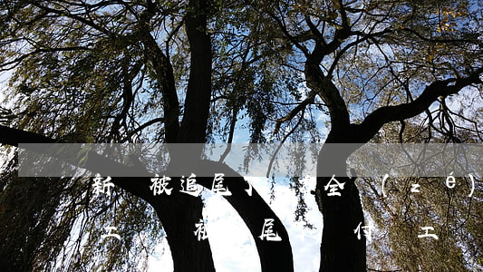 新車被追尾了對方全責(zé)怎么賠償誤工費(車被追尾了賠付誤工嗎)