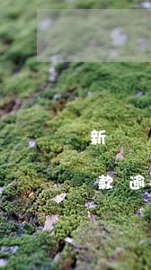 新車質(zhì)押貸款逾期怎么辦(押車貸款逾期了把我車賣了)