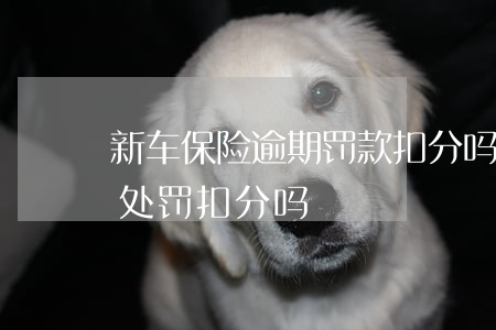 新车保险逾期罚款扣分吗(车辆保险过期怎么处罚扣分吗)