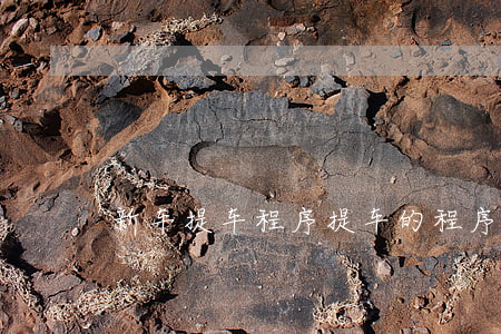 新车提车程序,提车的程序 新车提车程序,提车的程序