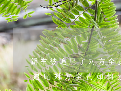 新车被追尾了对方全责怎么赔偿误工费(车被追尾对方全责如何索赔误工费)