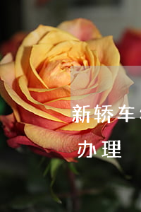 新轿车年审逾期怎么办(新轿车年审逾期怎么办理)