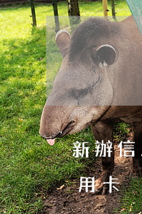 新辦信用卡沒收到賬單逾期怎么辦-新辦信用卡沒收到賬單逾期怎么辦理