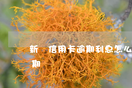 新辦信用卡逾期利息怎么算(怎樣算信用卡逾期)