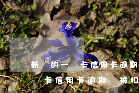 新辦的一張卡信用卡逾期會被扣嘛(新辦的一張卡信用卡逾期會被扣嘛嗎)