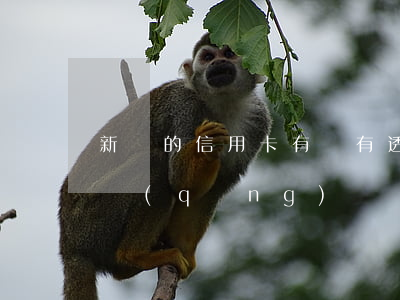 新辦的信用卡有沒有透支(信用卡透支需要申請(qǐng)嗎)