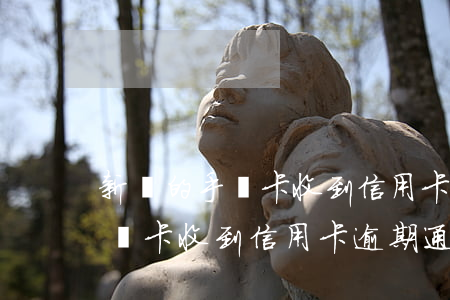 新辦的手機卡收到信用卡逾期通知(新辦的手機卡收到信用卡逾期通知信息)