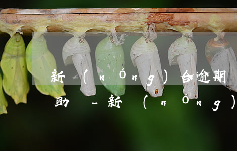 新農(nóng)合逾期繳費能申請大病救助嗎-新農(nóng)合逾期繳費能申請大病救助嗎怎么辦