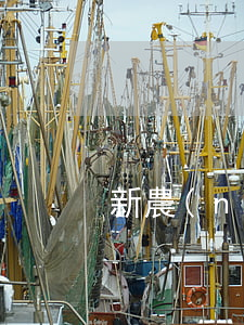 新農(nóng)村建設(shè)政策