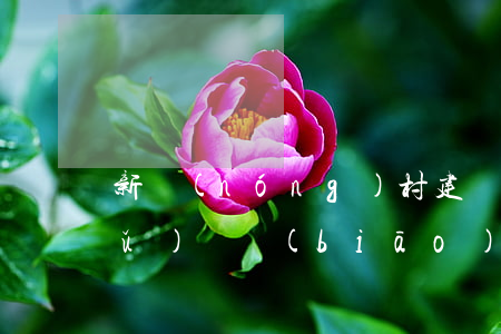 新農(nóng)村建設(shè)補(bǔ)償標(biāo)準(zhǔn)(新農(nóng)村建設(shè)房屋補(bǔ)償國(guó)家規(guī)定)