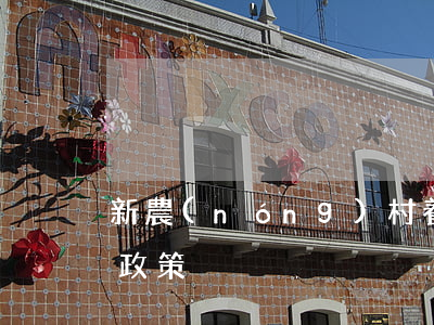 新農(nóng)村養(yǎng)老保險政策