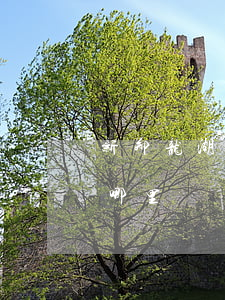 新郑龙湖律师事务所在哪里(新郑龙湖法院在哪里)