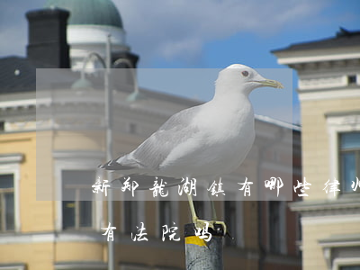 新郑龙湖镇有哪些律师事务所(新郑市龙湖镇有法院吗)
