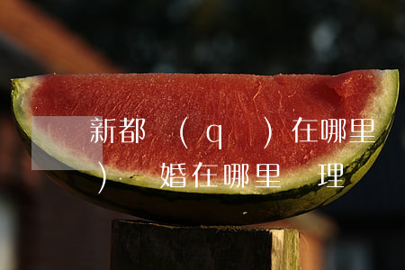 新都區(qū)在哪里辦離婚(郫都區(qū)離婚在哪里辦理)