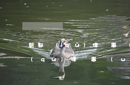 新都區(qū)律師事務(wù)所(新都區(qū)律師事務(wù)所電話號碼)