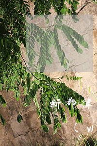 新都律師事務(wù)所在哪里(新縣律師事務(wù)所律師在哪里)