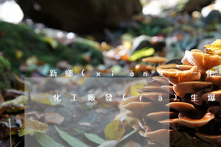 新鄉(xiāng)一化工廠爆炸(石家莊一化工廠發(fā)生爆炸)