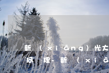 新鄉(xiāng)光大銀行信用卡逾期如何處理-新鄉(xiāng)光大銀行信用卡逾期如何處理的