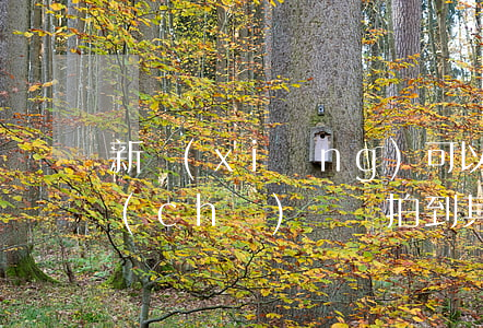 新鄉(xiāng)可以拍照上傳違法的車(chē)輛嗎(拍到其他車(chē)輛違法行為上傳到哪里)