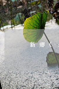 新鄉(xiāng)樓盤逾期