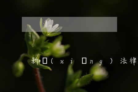 新鄉(xiāng)法律援助