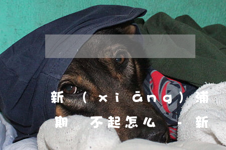 新鄉(xiāng)浦發(fā)信用卡逾期還不起怎么辦-新鄉(xiāng)浦發(fā)信用卡逾期還不起怎么辦呢