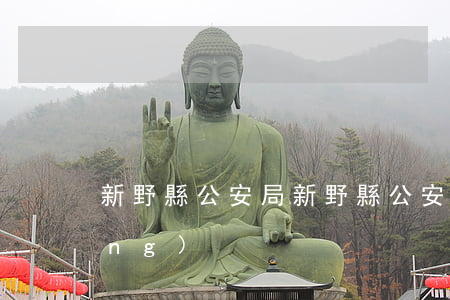 新野縣公安局(新野縣公安局副局長(zhǎng))
