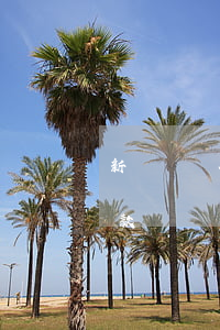 新錢貸有有逾期嘛(新錢貸有有逾期嘛怎么還款)