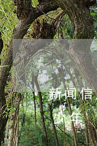 新闻信用卡逾期1年 新闻信用卡逾期1年多少年