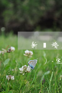新離婚法孩子撫養(yǎng)權規(guī)定(離婚后孩子撫養(yǎng)權的規(guī)定)