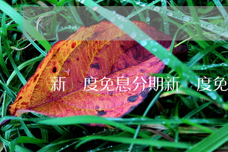 新飛度免息分期 新飛度免息分期