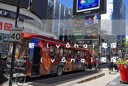 新養(yǎng)老保險(xiǎn)政策，養(yǎng)老保險(xiǎn)新政策2022年
