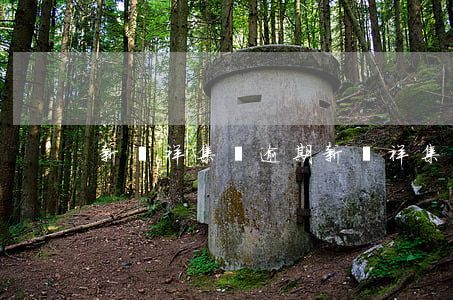 新鳳祥集團逾期(新鳳祥集團逾期)