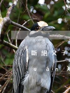 斷絕父子關(guān)系后有繼承權(quán)嗎(斷絕父子關(guān)系后有繼承權(quán)嗎)
