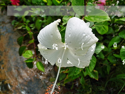 斷絕父子關(guān)系后能繼承遺產(chǎn)嗎(脫離父女關(guān)系后還能繼承遺產(chǎn)嗎)