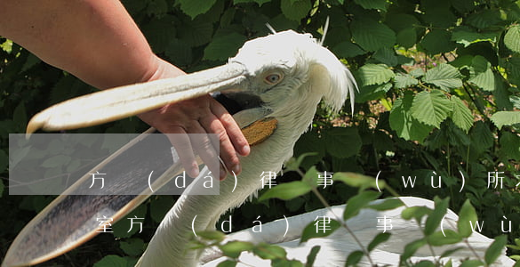 方達(dá)律師事務(wù)所北京辦公室(方達(dá)律師事務(wù)所總部)