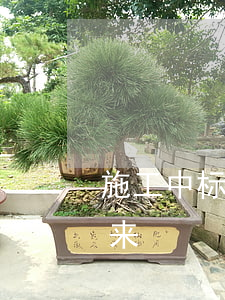 施工中标通知书(施工中标通知书多久能打下来)