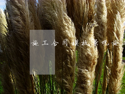 施工合同模板(景观施工合同模板)