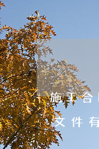 施工合同示范文本(施工合同示范文本和合同文件有什么區(qū)別和聯(lián)系?)