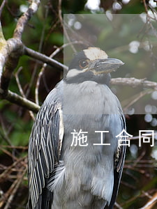 施工合同糾紛中的23個坑（附實際案例）