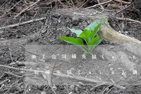 施工合同補充協(xié)議(工程補充合同和補充協(xié)議)